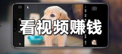 看什么视频挣钱多,揭秘如何通过观看视频赚取丰厚收益