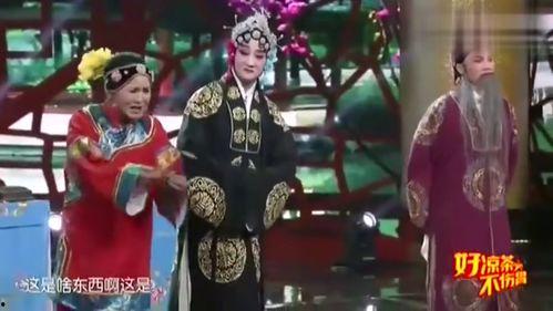 媒婆搞笑视频,笑料百出，揭秘婚恋市场的欢乐瞬间