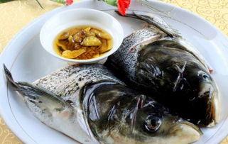 吃鱼视频,跟随吃鱼视频，解锁烹饪鱼的秘诀与技巧