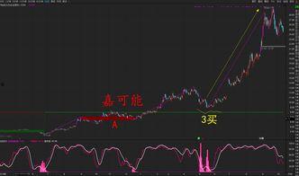 什么是股票视频,揭秘股票市场的奥秘与投资技巧