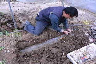 浅生槽山药种植视频