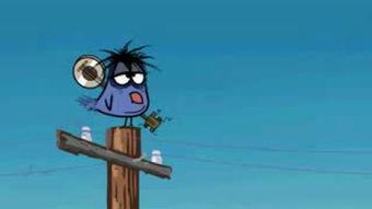 疯狂小鸟视频,挑战极限的飞翔冒险